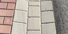 IMG_2654.jpg